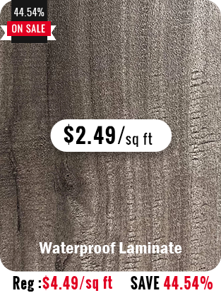 2010 Laminate Flooring