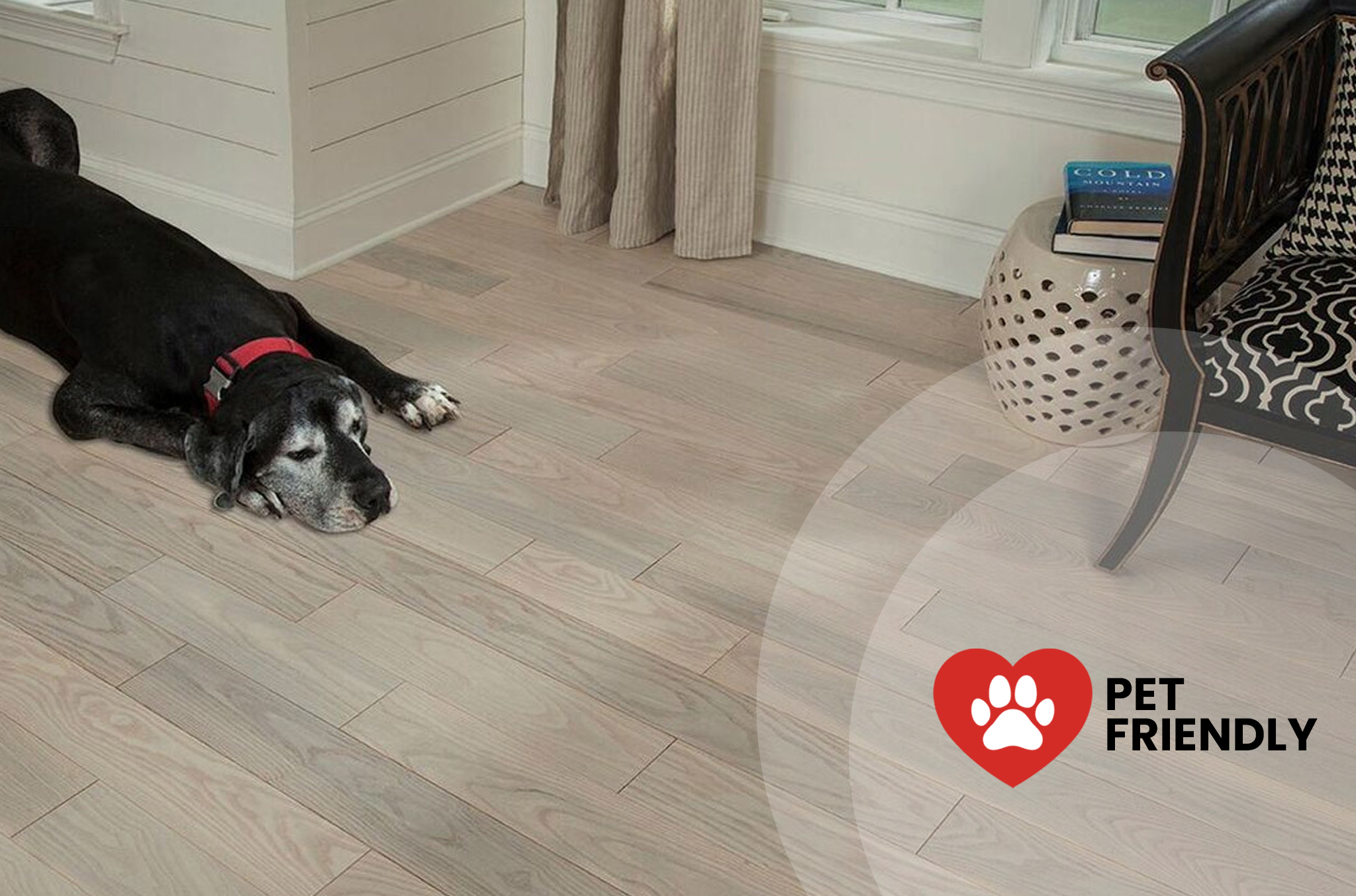 Do you have a home with pets